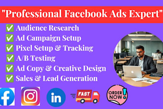 expert facebook ads setup and management
