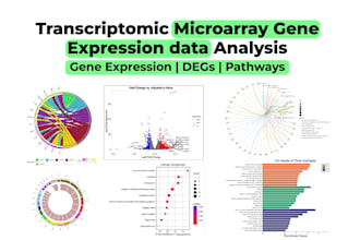 do ngs, rna seq and microarray gene expression data analysis