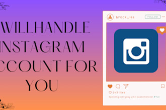 handle your instagram page and handle your dms