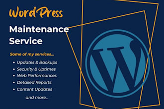 provide wordpress website maintenance, update, support and help for your site