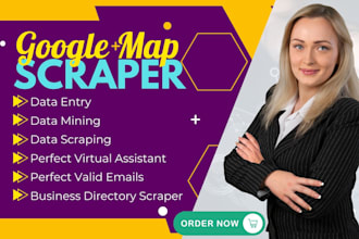 do web research emails scraping perfect google map scraping in one day
