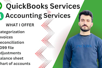 provide all quickbooks services including 1099  filing