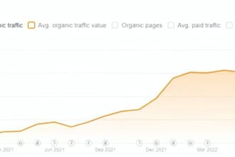 do comprehensive SEO to flood you with new business leads