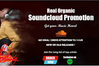 do real follow up for your soundcloud, fast organic growth