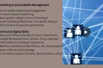 be your general executive virtual assistant