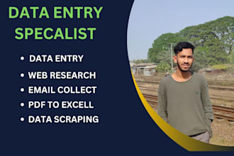 do data, data entry ,web research,email collection,company research