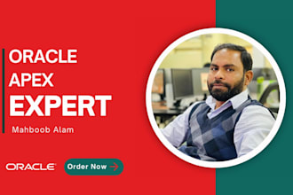 oracle apex developer or customize apex application database,performance tuning