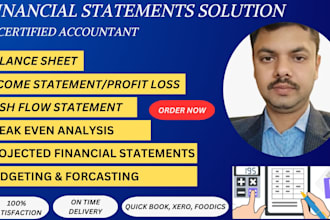 prepare financial statements, profit and loss, balance sheet ,income statement