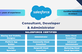 be your salesforce consultant, developer and administrator
