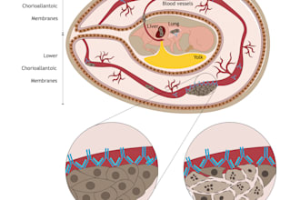 create stunning scientific illustrations