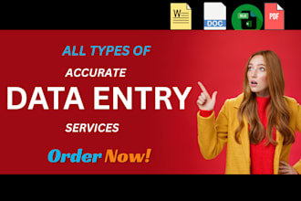 online virtual assistant for accurate data entry admin tasks