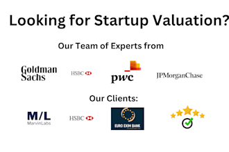 make financial models, valuations for your business