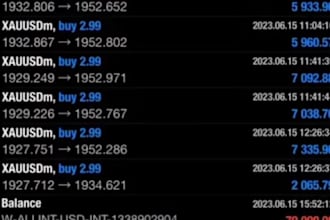 build profitable lifetime forex trading robot, trading bot, scalping bot, hft ea