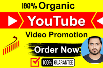 real organic youtube video and channel promotion via google ads