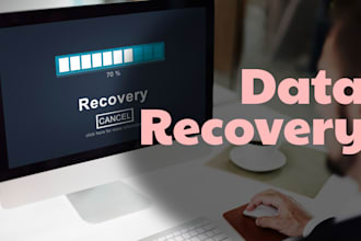 do professional data recovery and IT support