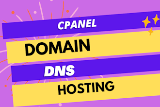 set up the domain, fix dns, move the domain, host it, move the website