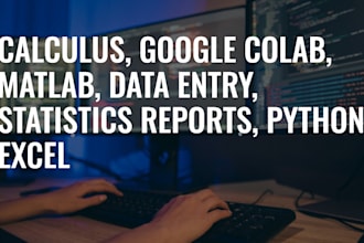 do calculus, google colab, matlab, data entry, statistics reports, python excel