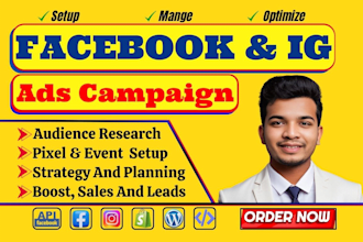 run effective facebook and instagram ads campaign, meta ads, run fb advertising