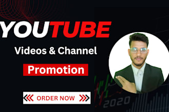 do organically youtube video promotion