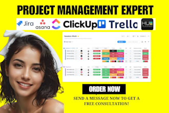 do full setup of boards on monday com, clickup, asana, trello, jira, hub planner