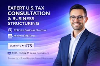 provide expert US tax consultation and business structuring