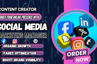 be your social media marketing manager post desiign instagram content creator