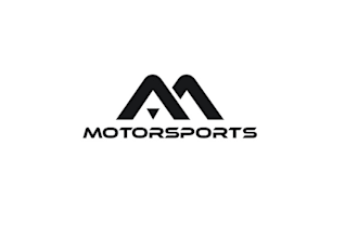 design professional automotive racing team logo
