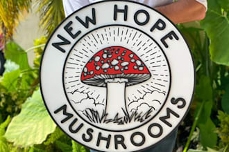 make psychedelic, mushroom, hippie, weed illustration