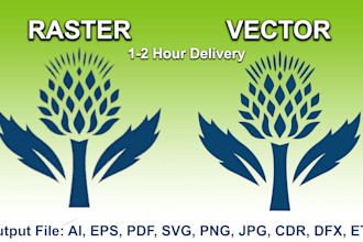 do vector tracing or convert to vector quickly