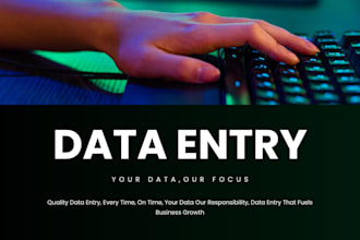 do data entry in ms excel, expert work