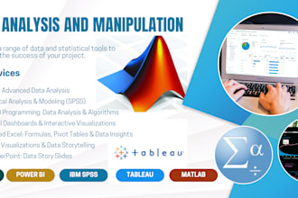 do spss, excel, google sheet, matlab, python, data tasks