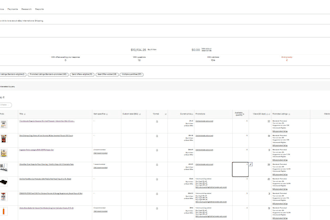 manage you ebay store
