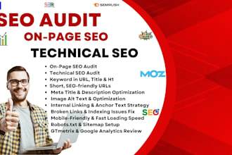 perform onpage and technical SEO audit