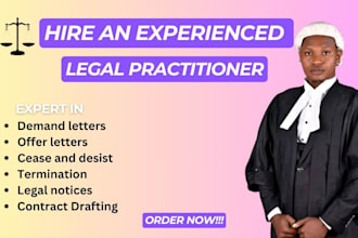write demand letters,termination, offers,cease and desist
