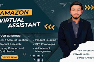 be your expert amazon fba virtual assistant VA