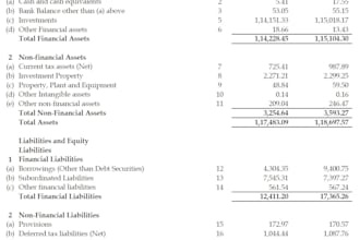do preparation of financial statements for corporates and individuals