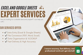 do data entry, organize data in excel and google sheets
