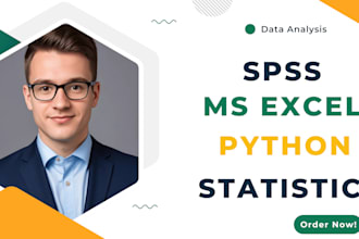 complete python, jupyter notebook, spss, stata,  excel tasks