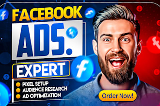 run monthly organic meta ads, facebook ads specialist