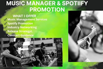 be your music manager and promote your music on spotify organically