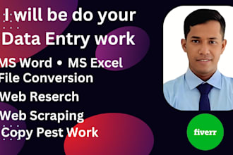 do accurate and fast data entry, web research, copy paste, and excel word job
