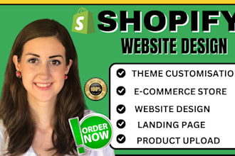a high converting shopify store or dropshipping website