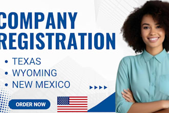 create wyoming or delaware llc with ein, US bank account and stripe setup