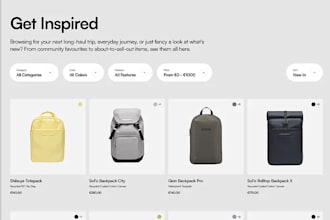 setup and customize a professional shopify store