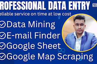 accurate data entry, google maps scraping and email finder