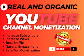 do organic youtube video promotion for  channel growth