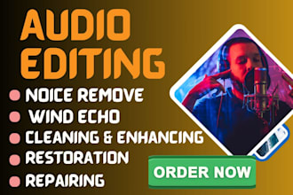 be your audio engineer, mixing,cleaning,sync,fix,edit,master,repair,denoise