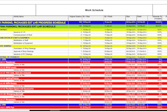 make a project schedule for you on p6 or excel