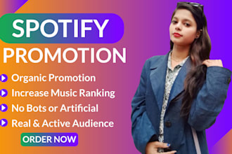do spotify music promotion through ads campaign