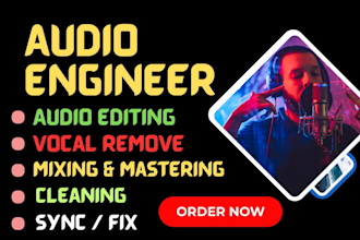 be your audio editing and mixing engineer